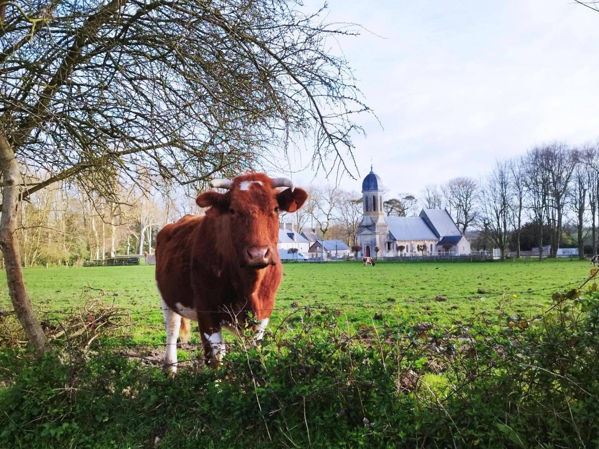 Comme A La "Maisons" Maisons  Exterior photo